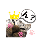 麦茶くんスタンプ2！！（個別スタンプ：10）