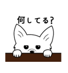 kimcoco(ver.japanese)（個別スタンプ：4）