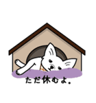 kimcoco(ver.japanese)（個別スタンプ：10）