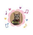 ミミポピ( ^・ω・^ )スタンプにゃ！（個別スタンプ：5）