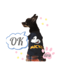 だいすきなティラ（個別スタンプ：4）