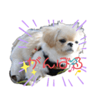 ココツムライandふわり（個別スタンプ：11）