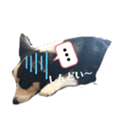 ココツムライandふわり（個別スタンプ：21）