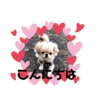 ココツムライandふわり（個別スタンプ：37）