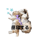 ココツムライandふわり（個別スタンプ：38）