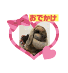 ぶぅこのスタンプ（個別スタンプ：16）