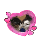k♡g♡t（個別スタンプ：9）