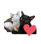 k♡g♡t（個別スタンプ：11）