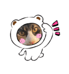 k♡g♡t（個別スタンプ：14）