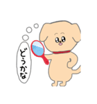 愛情たっぷりわんこ（個別スタンプ：22）