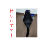 ルシ子のスタンプ に（個別スタンプ：20）