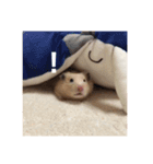 むたむたの日常（個別スタンプ：5）