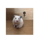 むたむたの日常（個別スタンプ：7）