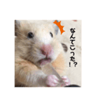 むたむたの日常（個別スタンプ：8）