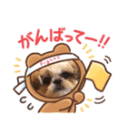 日々まるちゃん5（個別スタンプ：1）