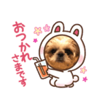 日々まるちゃん5（個別スタンプ：6）