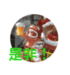 シーサーfeatures（個別スタンプ：14）