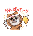 金 いな 1stスタンプ（個別スタンプ：31）