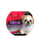 毎日まるポン（個別スタンプ：6）