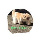 毎日まるポン（個別スタンプ：7）