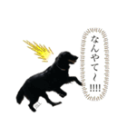 フラットコーテッド ジル（個別スタンプ：12）