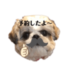 日々まるちゃん10（個別スタンプ：9）