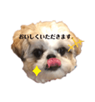日々まるちゃん10（個別スタンプ：16）
