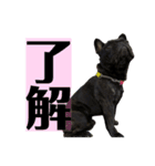 うちのバイエス2（個別スタンプ：1）