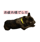 うちのバイエス2（個別スタンプ：6）