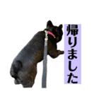 うちのバイエス2（個別スタンプ：8）