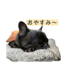 うちのバイエス2（個別スタンプ：10）