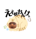 まゆちゃんよう（個別スタンプ：8）