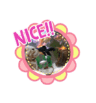 みるくここあ！のスタンプ3（個別スタンプ：3）