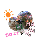 みるくここあ！のスタンプ3（個別スタンプ：4）