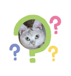 みるくここあ！のスタンプ3（個別スタンプ：7）