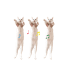 白猫のなむ2（個別スタンプ：17）