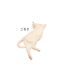 白猫のなむ2（個別スタンプ：20）