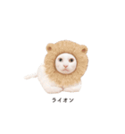 白猫のなむ2（個別スタンプ：32）