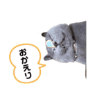 ニャンキーズ（個別スタンプ：21）