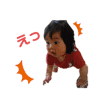 すず 2020.10.31（個別スタンプ：2）