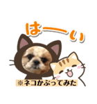 日々まるちゃん14（個別スタンプ：4）