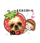 日々まるちゃん14（個別スタンプ：5）
