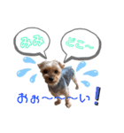 うちの殿君3（個別スタンプ：2）
