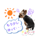 うちの殿君3（個別スタンプ：7）