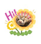 ぺっとすたんぷ_その4（個別スタンプ：3）