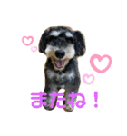 びびと、ゆかいな仲間たち（個別スタンプ：4）