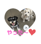 びびと、ゆかいな仲間たち（個別スタンプ：7）