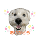 びびと、ゆかいな仲間たち（個別スタンプ：8）