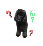 びびと、ゆかいな仲間たち（個別スタンプ：9）