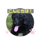 びびと、ゆかいな仲間たち（個別スタンプ：11）